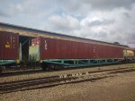 BRAD PCT-058001-5